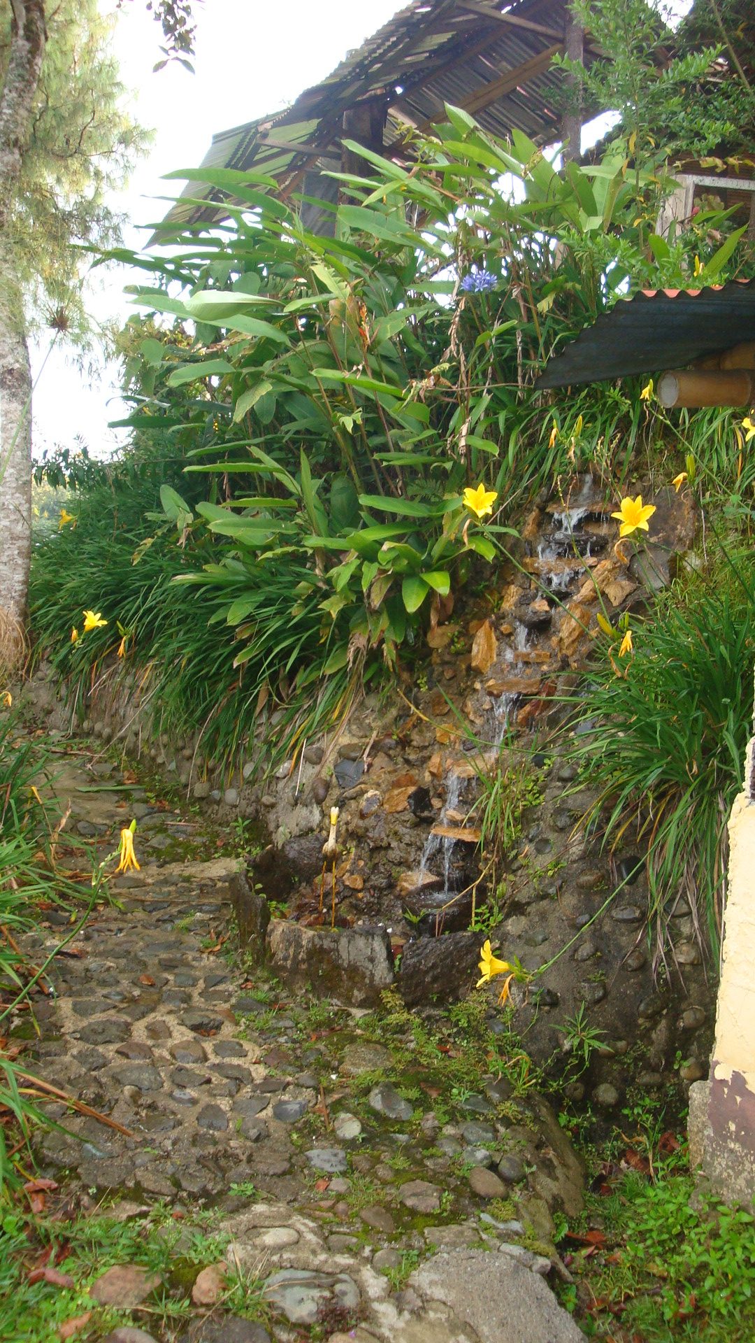 dsc06546